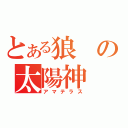 とある狼の太陽神（アマテラス）