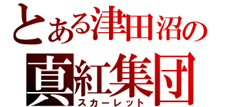 とある津田沼の真紅集団（スカーレット）