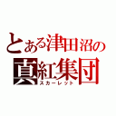 とある津田沼の真紅集団（スカーレット）