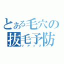 とある毛穴の抜毛予防（リアップ）