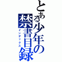 とある少年の禁書目録（インデックス）