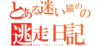 とある迷い猫のの逃走日記（ｒｕｎ ｆｏｒ ｌｉｆｅ）