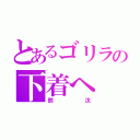 とあるゴリラの下着へ（鈴汰）