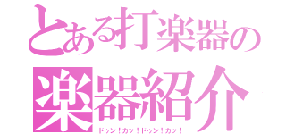 とある打楽器の楽器紹介（ドゥン！カッ！ドゥン！カッ！）