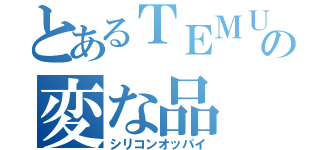 とあるＴＥＭＵの変な品（シリコンオッパイ）