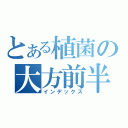 とある植菌の大方前半（インデックス）