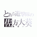 とある遊撃隊の佐方大葵（縄使い）