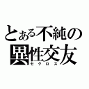 とある不純の異性交友（セクロス）