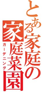 とある家庭の家庭菜園（ガーデニング）