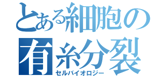 とある細胞の有糸分裂（セルバイオロジー）