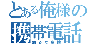 とある俺様の携帯電話（触るな危険）