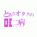 とあるオタクの中二病（ギンタマ）