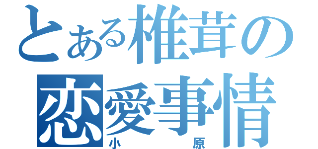 とある椎茸の恋愛事情（小原）