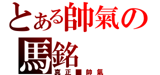 とある帥氣の馬銘（真正■帥氣）