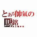 とある帥氣の馬銘（真正■帥氣）