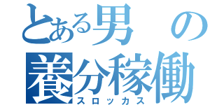 とある男の養分稼働（スロッカス）