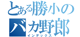 とある勝小のバカ野郎（インデックス）