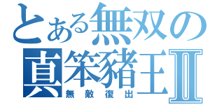 とある無双の真笨豬王Ⅱ（無敵復出）