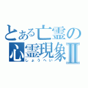 とある亡霊の心霊現象Ⅱ（しょうへい）