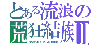 とある流浪の荒狂結族Ⅱ（ＲＡＭＰＡＧＥ ｆ ＥＸＩＬＥ ＴＲＩＢＥ）