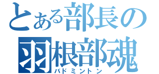 とある部長の羽根部魂（バドミントン）