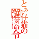 とある仔猫の絶対命令（キャンディボイス）