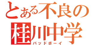 とある不良の桂川中学（バッドボーイ）