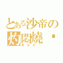 とある沙帝の灼悶燒絕（帝王之ㄧ）