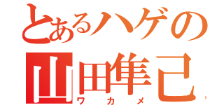 とあるハゲの山田隼己（ワカメ）