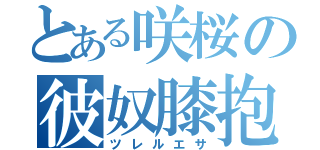 とある咲桜の彼奴膝抱（ツレルエサ）