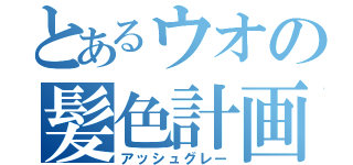 とあるウオの髪色計画（アッシュグレー）