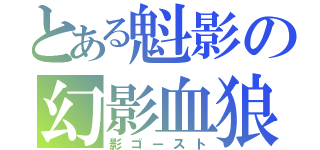 とある魁影の幻影血狼（影ゴースト）