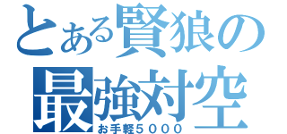 とある賢狼の最強対空（お手軽５０００）