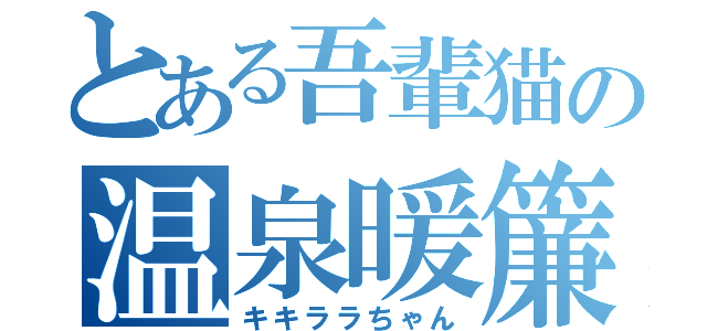 とある吾輩猫の温泉暖簾（キキララちゃん）