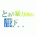 とある暴力団の部下（高城剛）