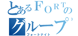 とあるＦＯＲＴＯＮＩＴＥのグループ（フォートナイト）