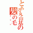 とある丸山基の髪の毛（タワシ）