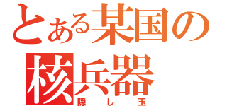 とある某国の核兵器（隠し玉）