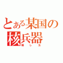 とある某国の核兵器（隠し玉）