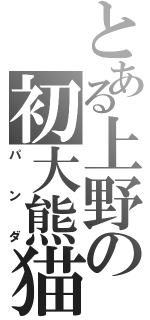 とある上野の初大熊猫（パンダ）