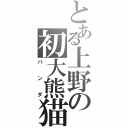 とある上野の初大熊猫（パンダ）