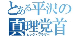 とある平沢の真理党首（ビッグ・ブラザー）