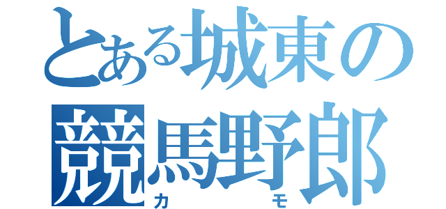 とある城東の競馬野郎（カモ）