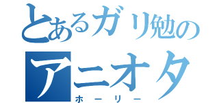 とあるガリ勉のアニオタ（ホーリー）