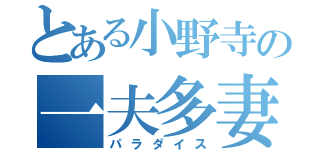 とある小野寺の一夫多妻（パラダイス）