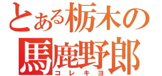 とある栃木の馬鹿野郎（コレキヨ）