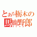 とある栃木の馬鹿野郎（コレキヨ）