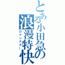 とある小田急の浪漫特快（ロマンスカー）