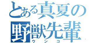 とある真夏の野獣先輩（ウンコ）