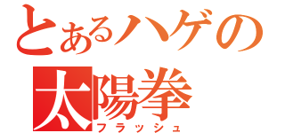 とあるハゲの太陽拳（フラッシュ）